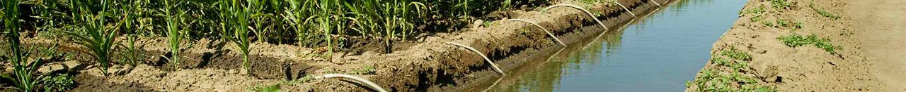 Specialty Programs - unioncolonyins.com